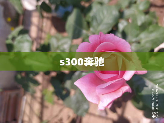 s300奔驰