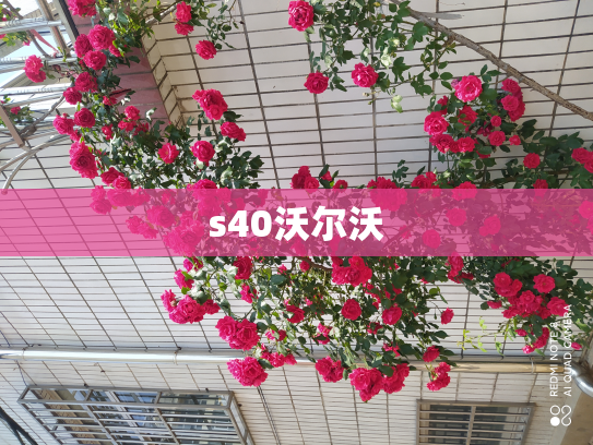 s40沃尔沃
