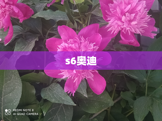 s6奥迪