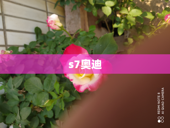 s7奥迪
