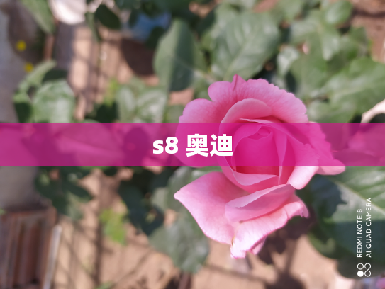 s8 奥迪