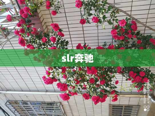 slr奔驰