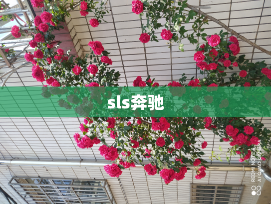 sls奔驰