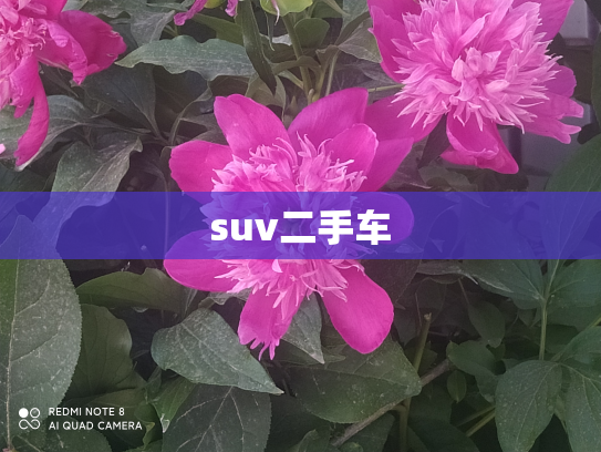 suv二手车