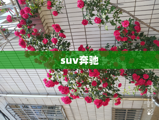 suv奔驰