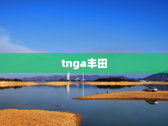 tnga丰田