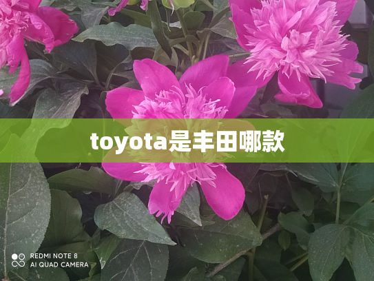 toyota是丰田哪款