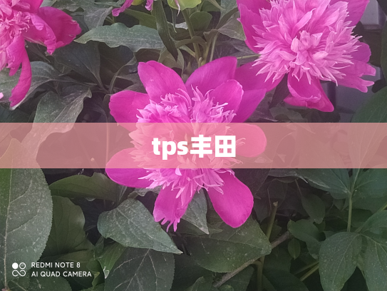 tps丰田
