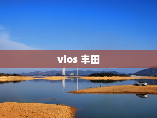 vios 丰田