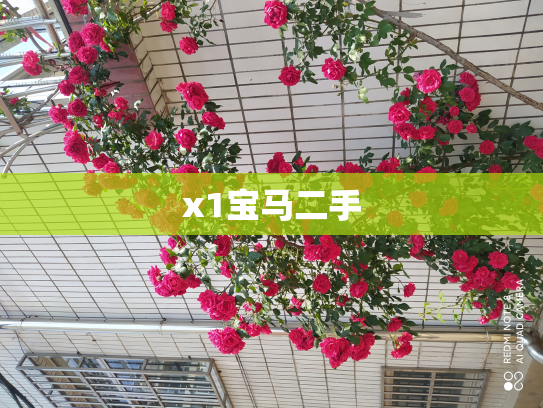 x1宝马二手