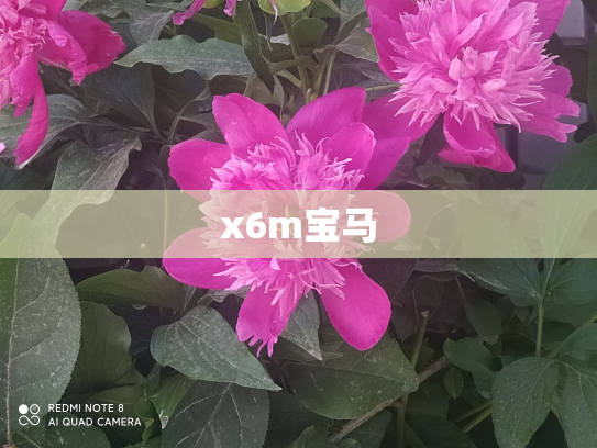 x6m宝马
