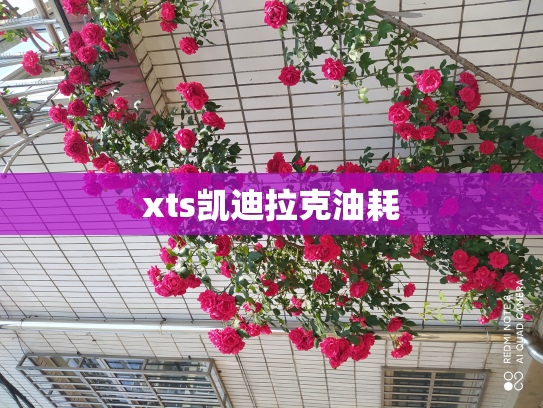 xts凯迪拉克油耗