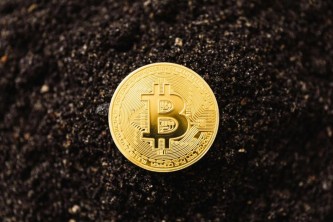 中本聪下载安装app老版本 中本聪最新版本下载 中本聪下载官方版