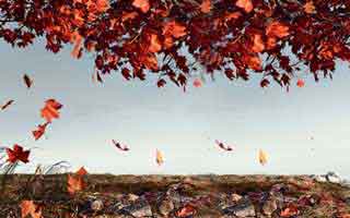 炒比特币什么软件好用