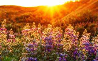 炒比特币什么软件好用